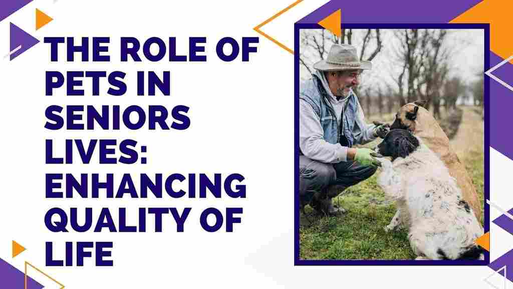 The Role of Pets in Seniors Lives: Enhancing Quality of Life