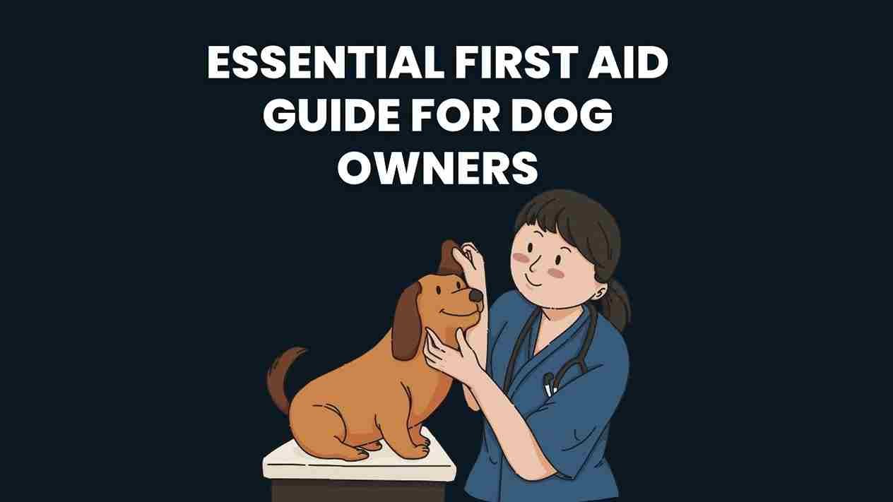 Essential First Aid Guide for Dog Owners